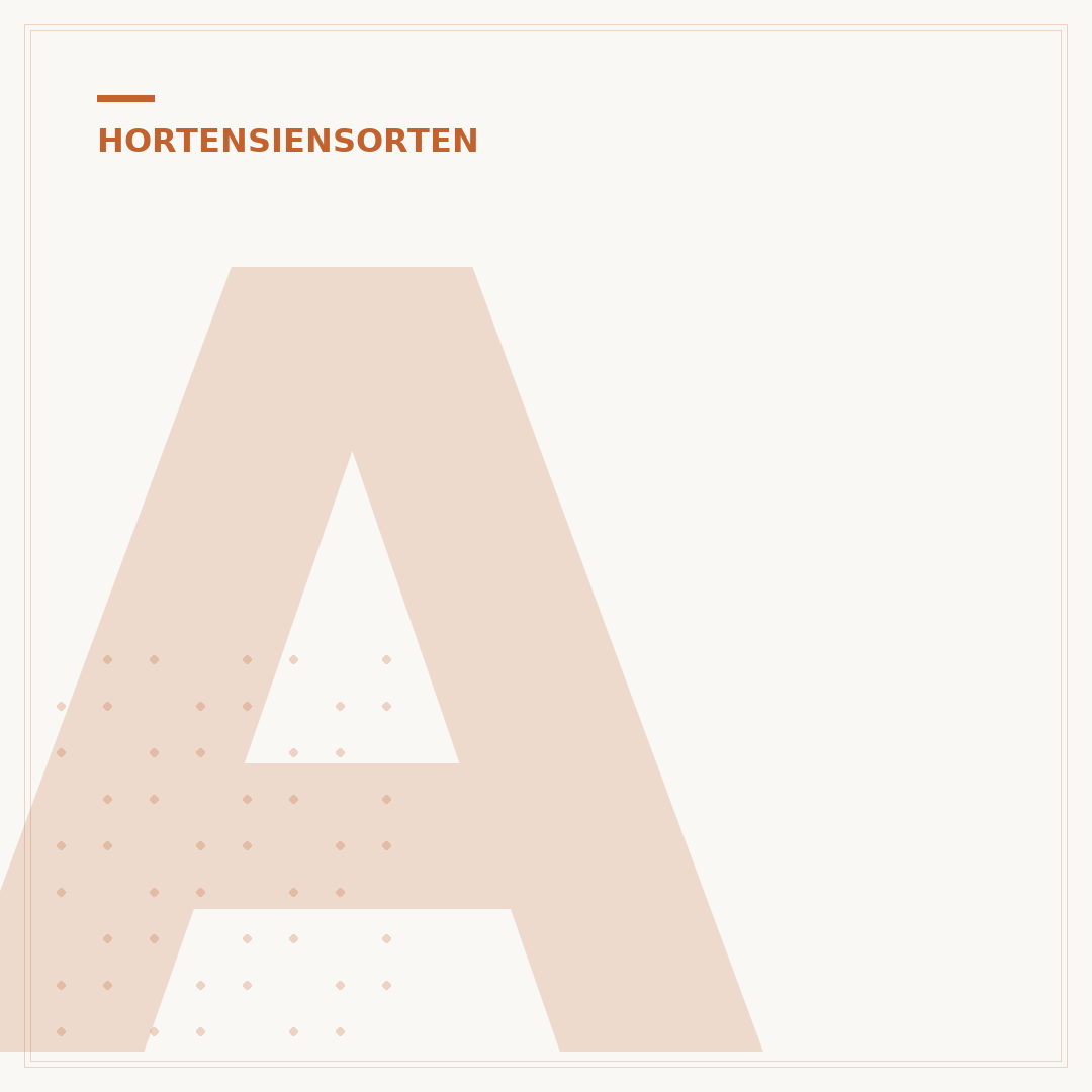 Arten der japanischen Hortensie