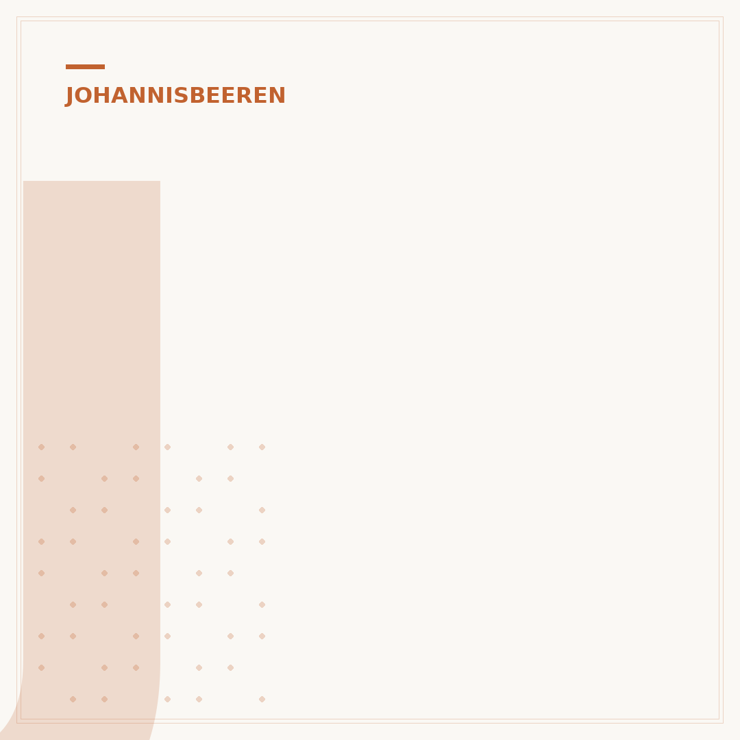 Johannisbeeren pflanzen: Ein Ratgeber für Gärtner