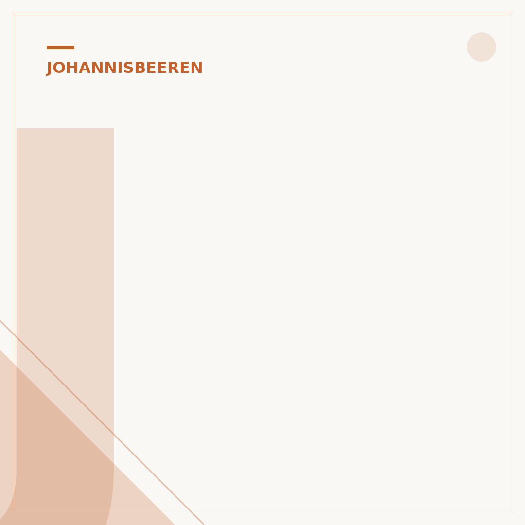 Johannisbeeren schneiden: So gedeihen Ihre Sträucher
