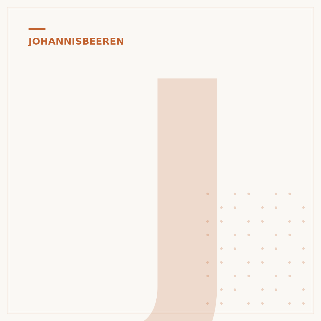 Johannisbeeren schneiden im Frühjahr: Der Praxis-Leitfaden