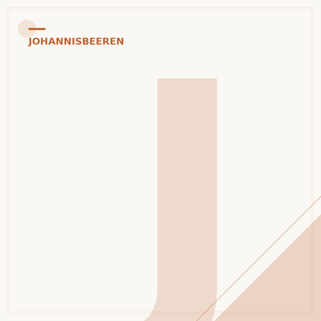 Johannisbeeren umpflanzen