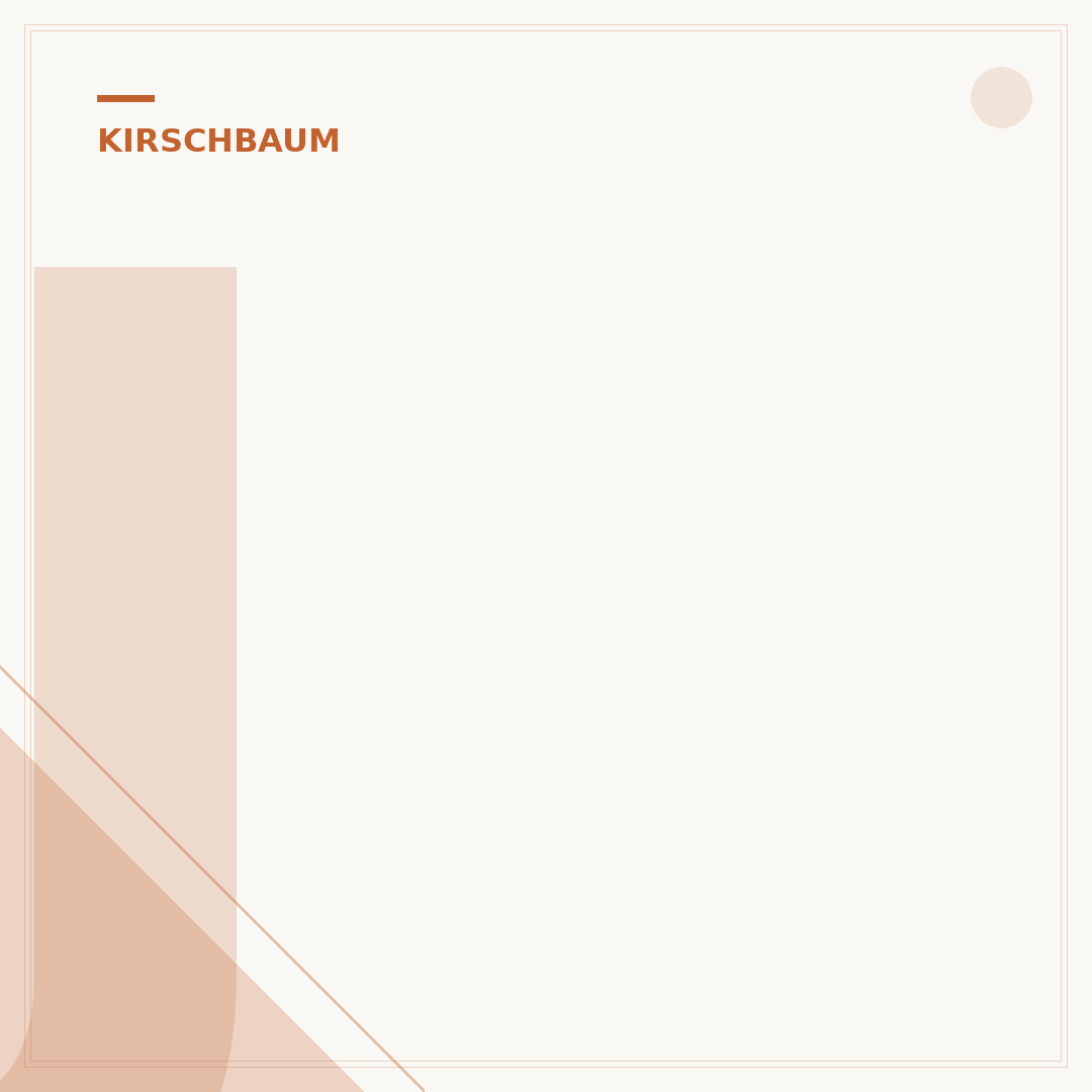 Jungen Kirschbaum schneiden