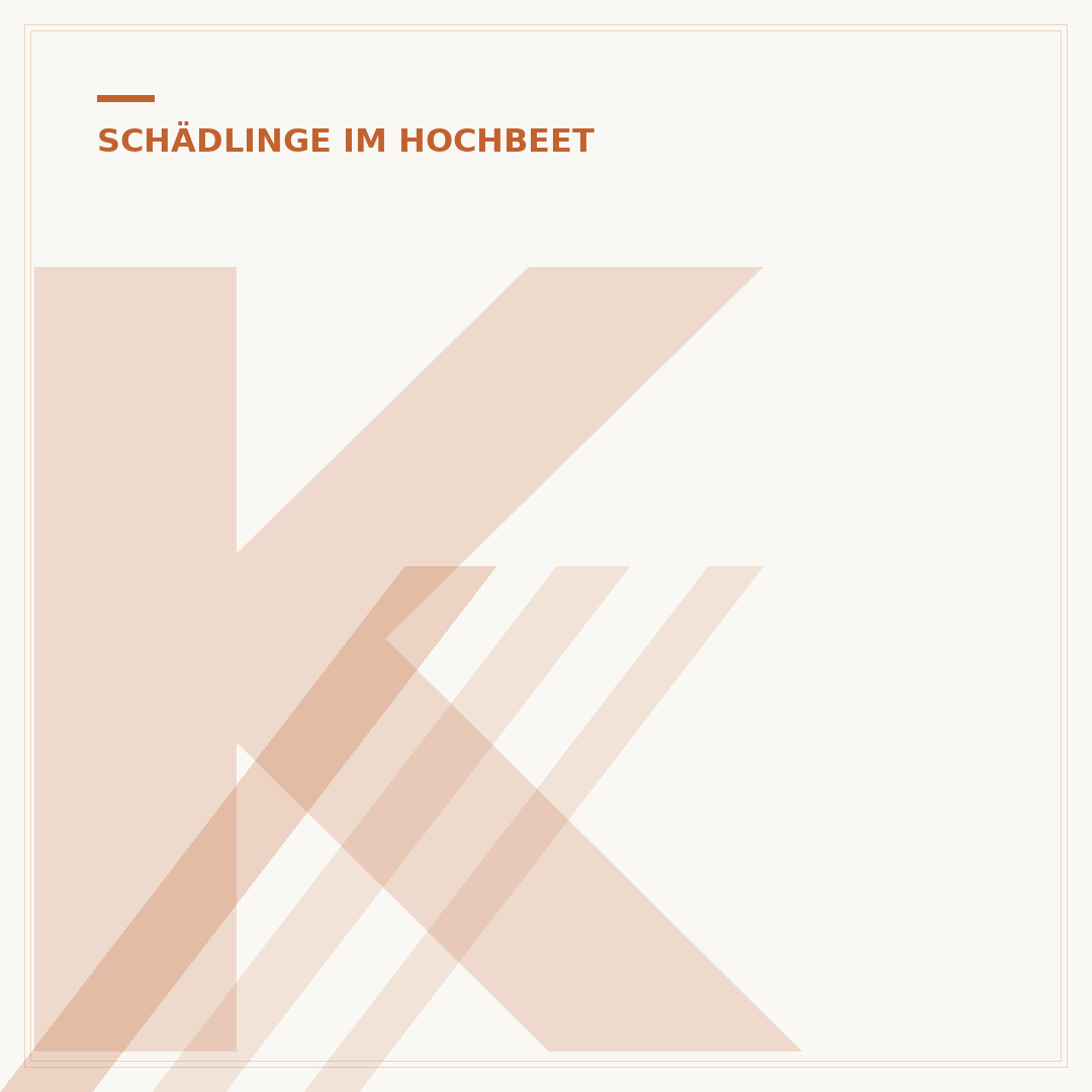Kellerasseln im Hochbeet