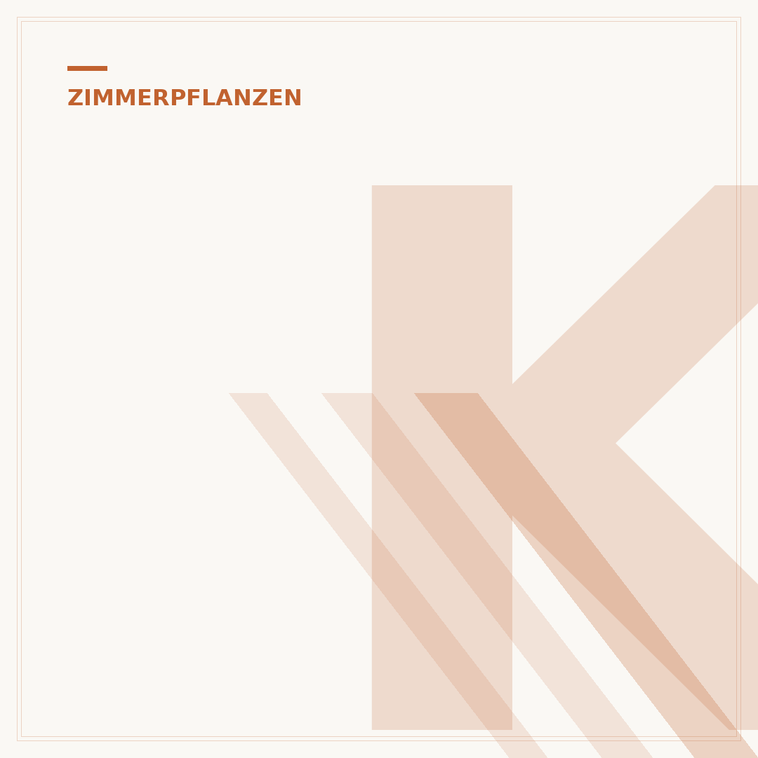 Klebrige Läuse an Zimmerpflanzen: Hausmittel