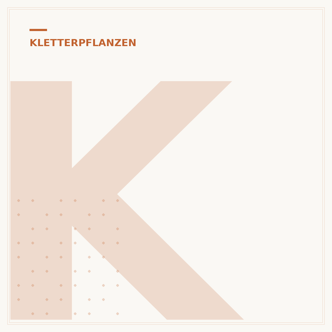 Kletterpflanzen für Halbschatten: Winterhart und Attraktiv