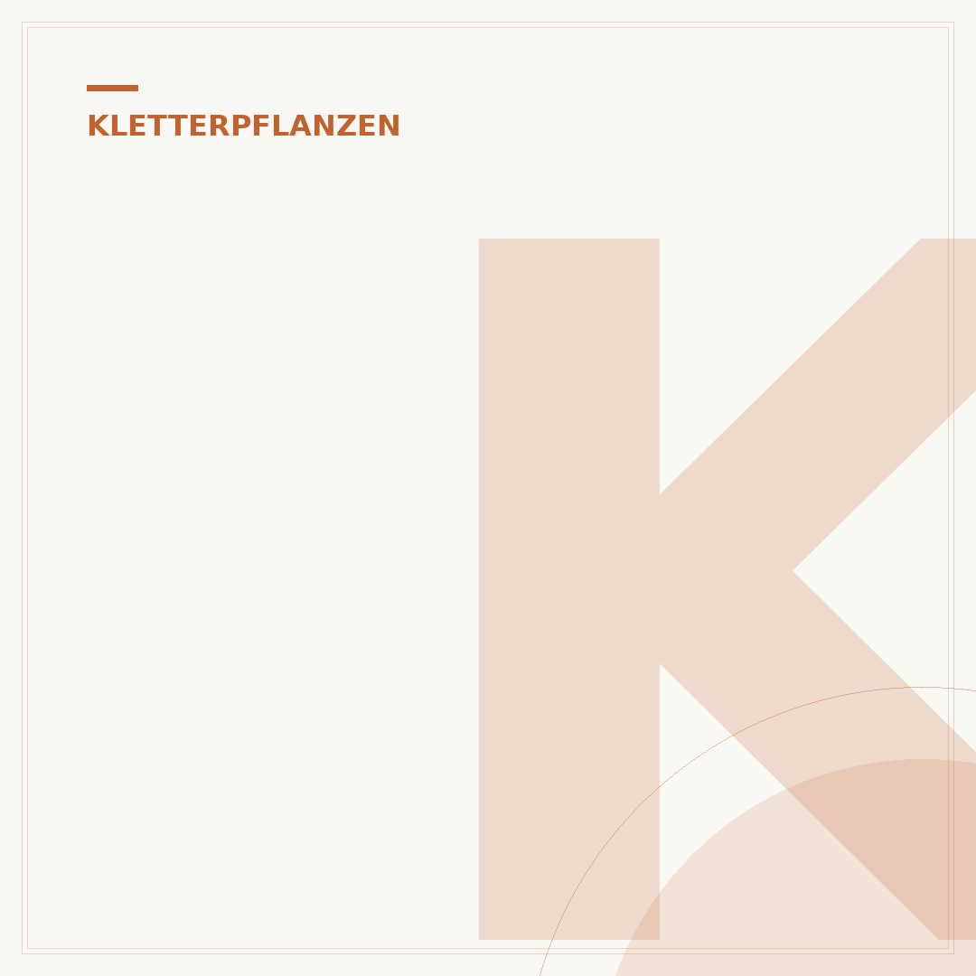 Kletterpflanzen für sonnige Standorte