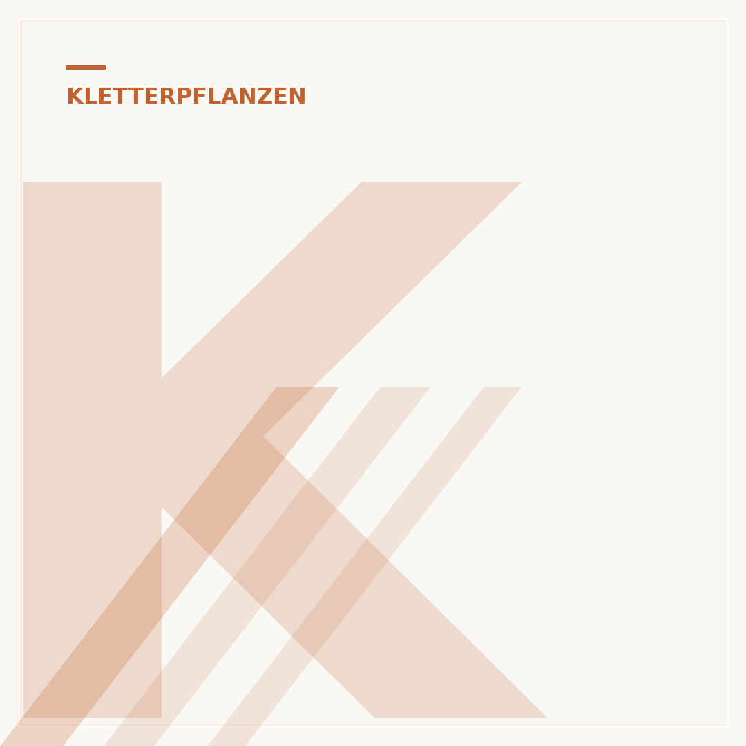 Kletterpflanzen für Wohnung: Grünpflanzen für Wände