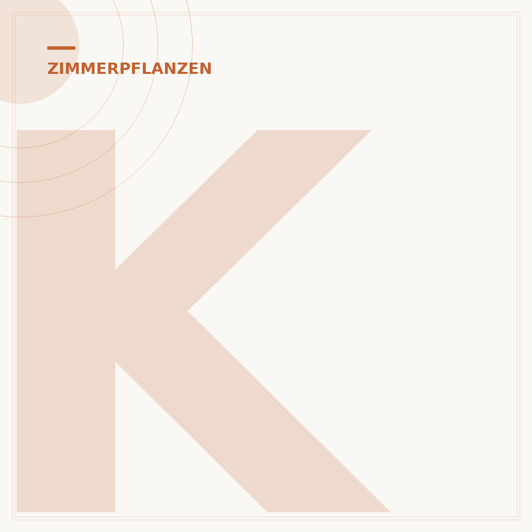Kokoserde für Zimmerpflanzen
