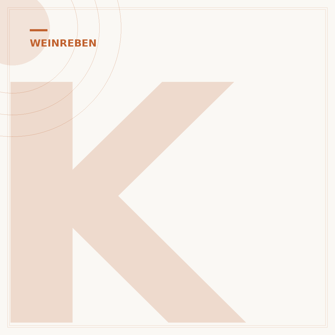 Krankheiten bei Weinreben: Symptome, Ursachen & Vorbeugung