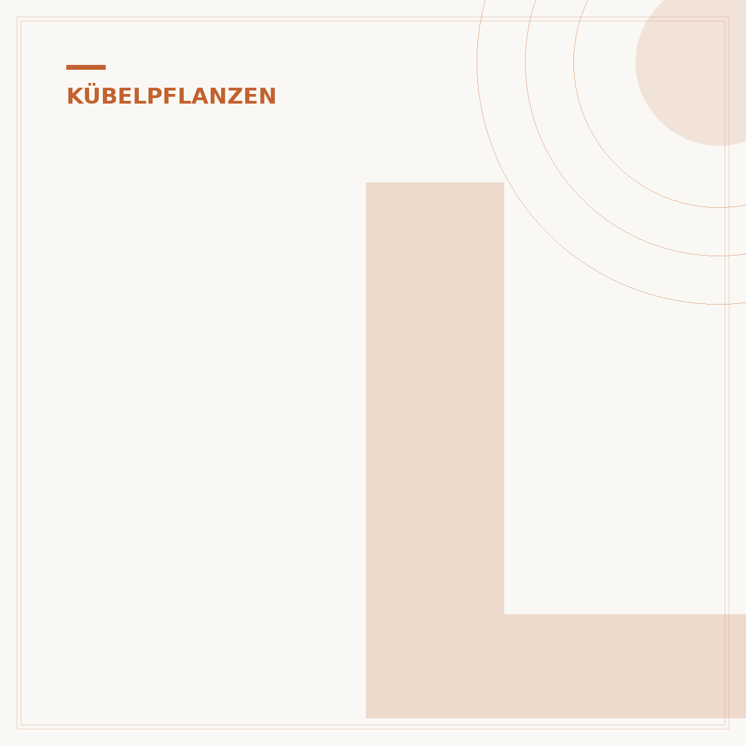 Lange blühende Kübelpflanzen