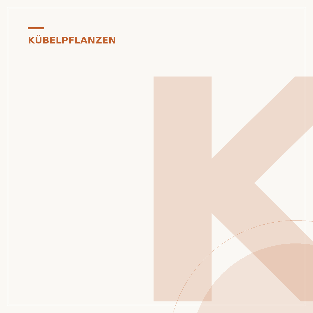 Kübelpflanzen für volle Sonne