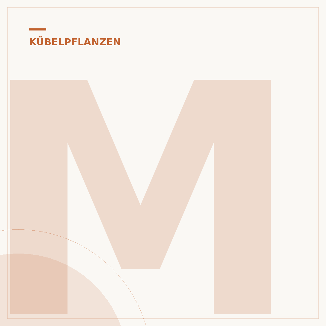 Moderne winterharte Kübelpflanzen für Ihren Garten