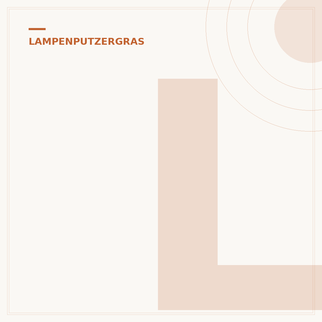 Lampenputzergras: Pflegeleichtes Ziergras für Ihren Garten