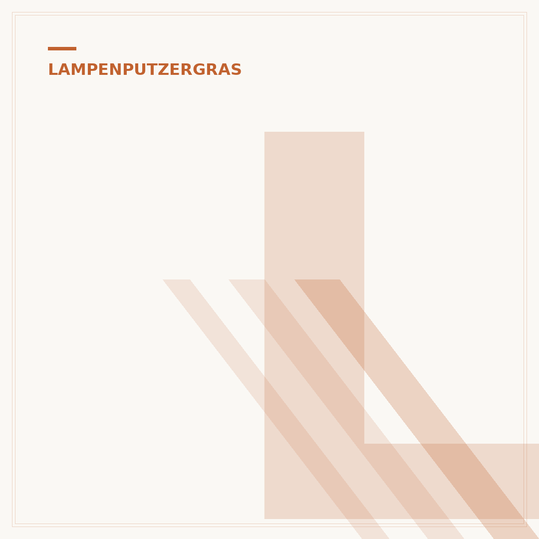 Lampenputzergras Standort: Den perfekten Platz finden