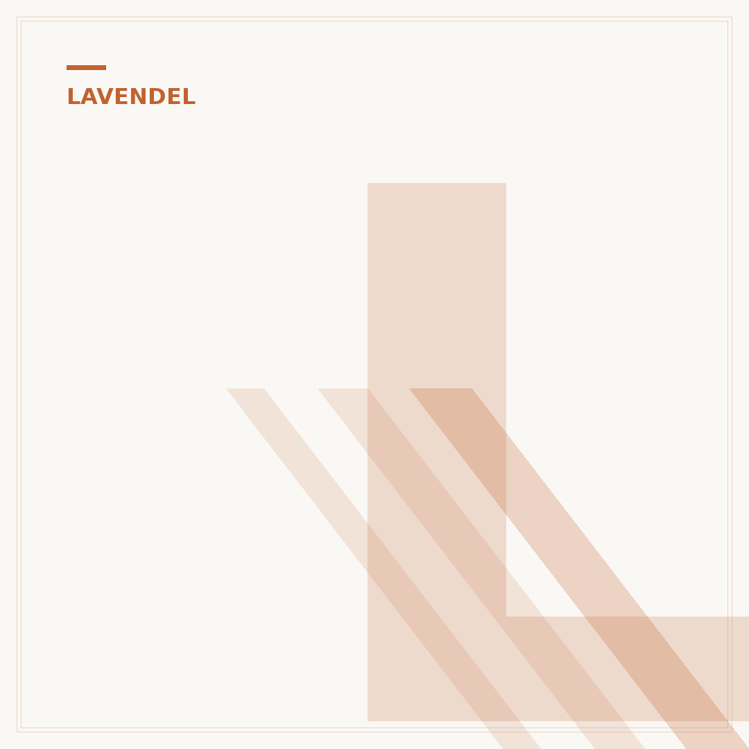 Lavendel im Sommer schneiden