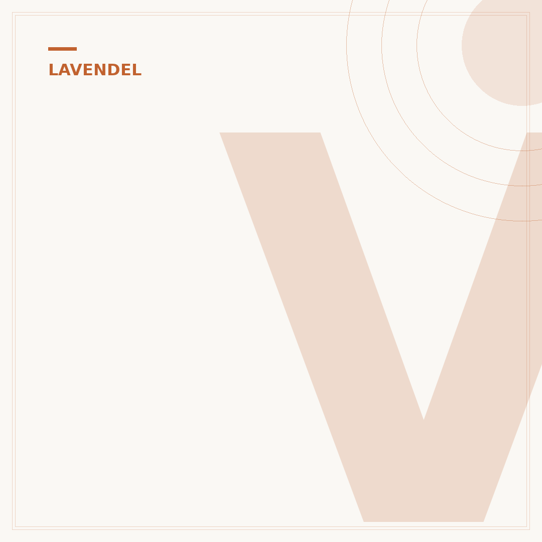 Verholzten Lavendel schneiden