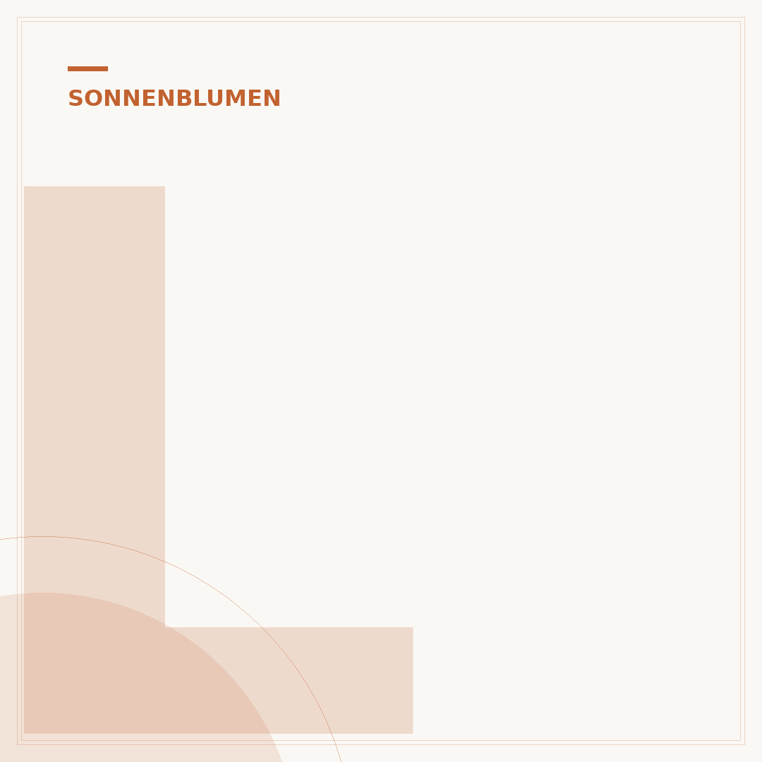 Lecithin aus Sonnenblumen: Vorteile und Anwendung