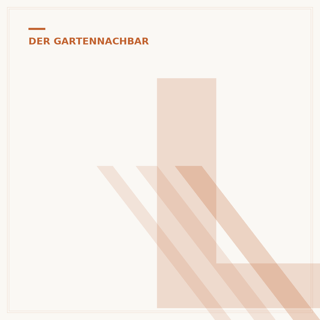 Liguster kaufen