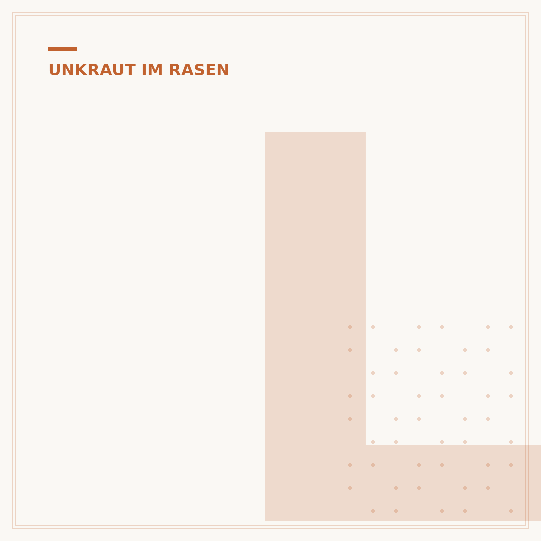 Löwenzahn vom Rasen entfernen
