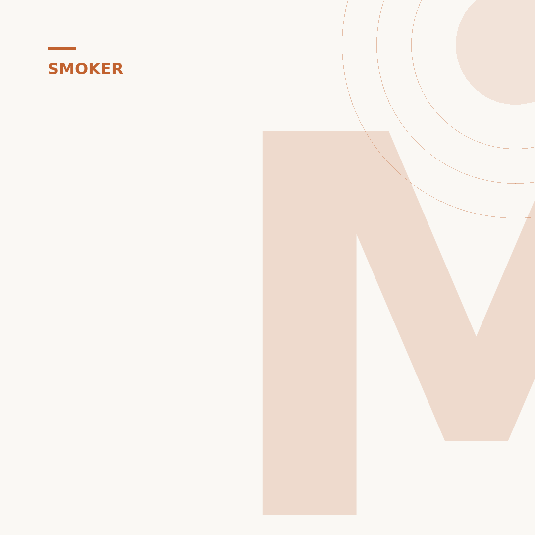 MC Smoker: Was ist das und wie funktioniert er?