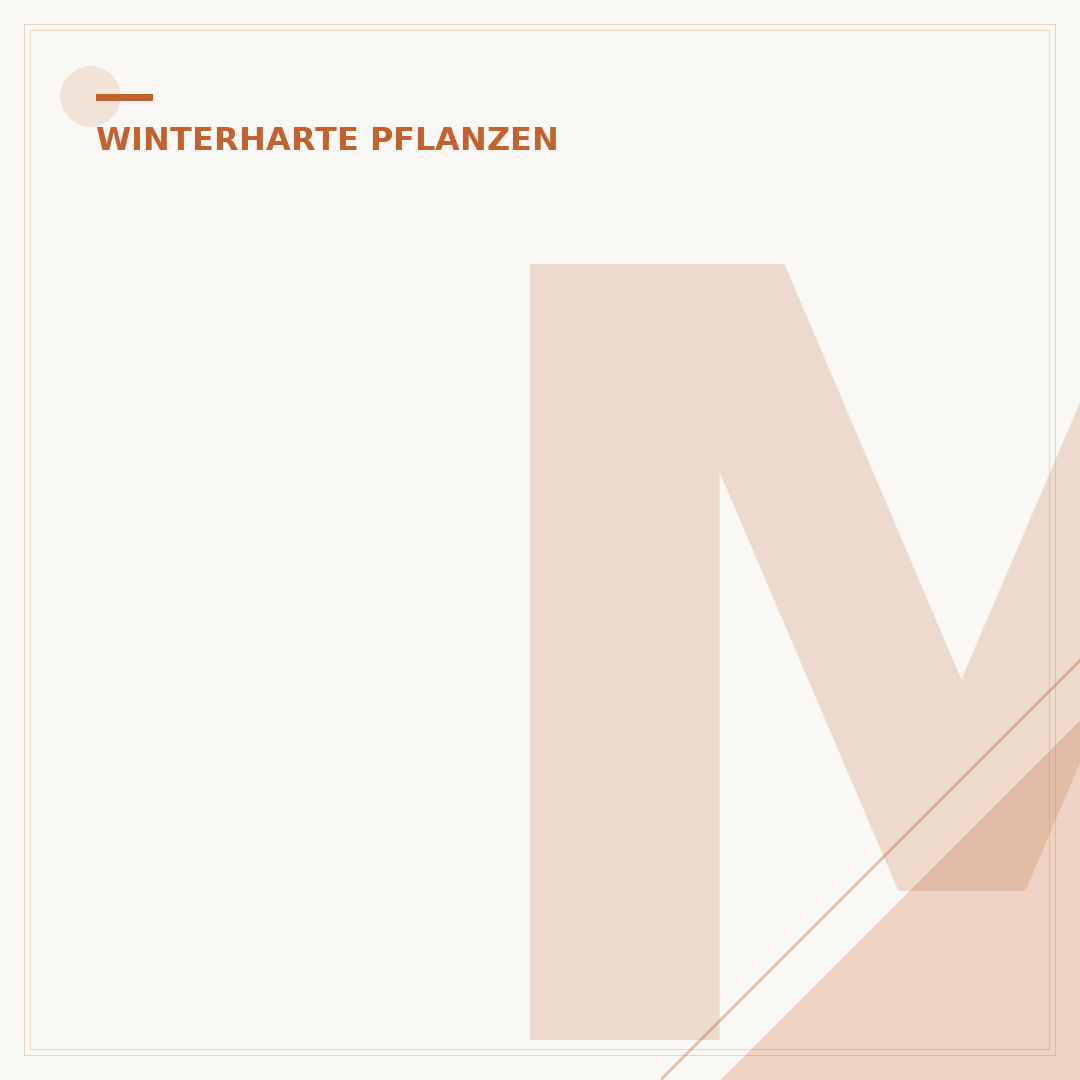 Mediterrane winterharte Pflanzen
