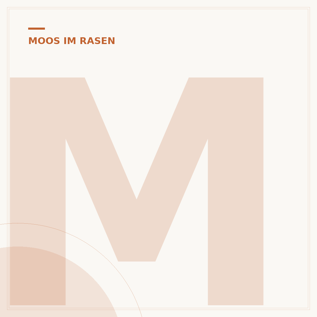 Moos aus Rasen entfernen: Ursachen, Tipps & Vorbeugung