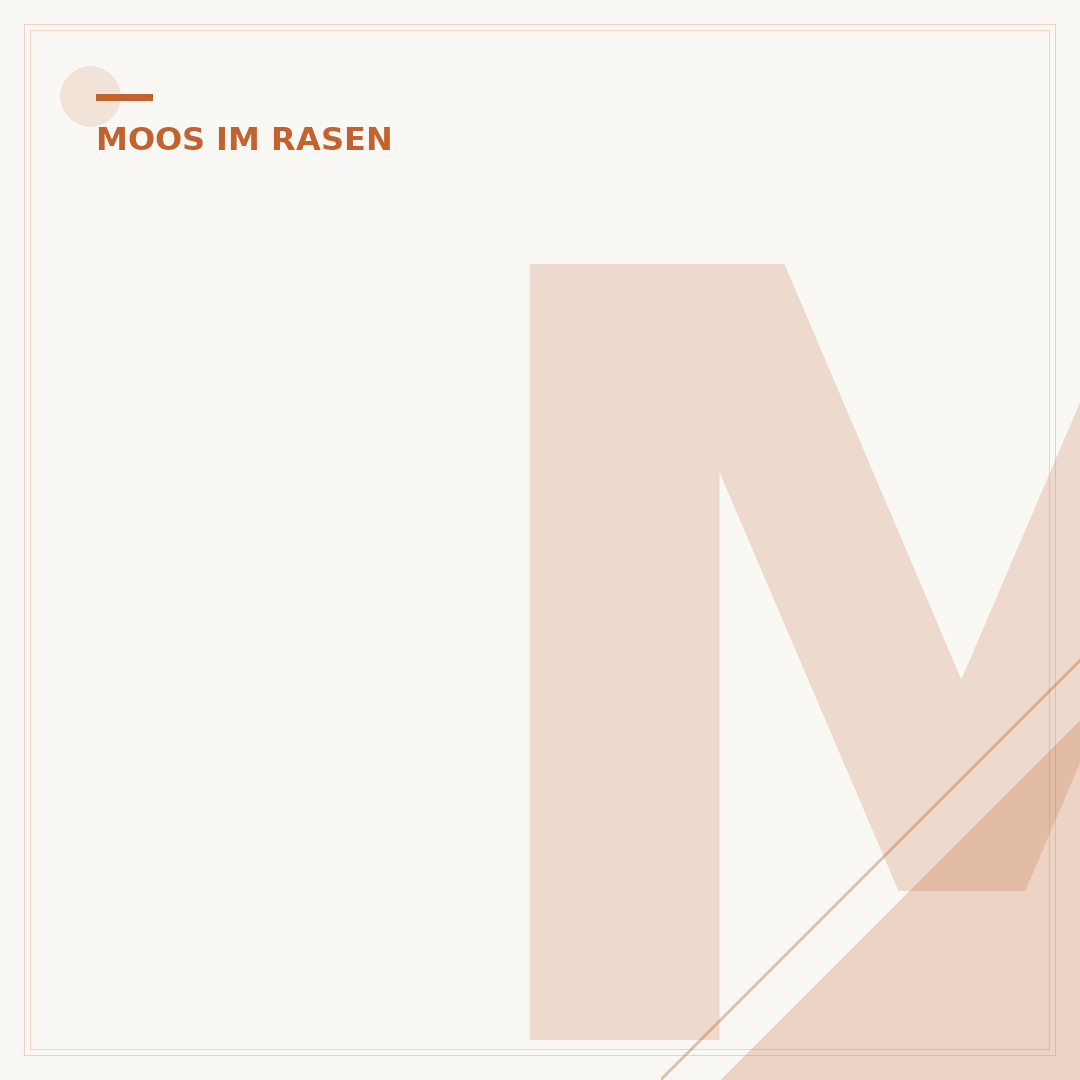 Moos im Rasen vernichten