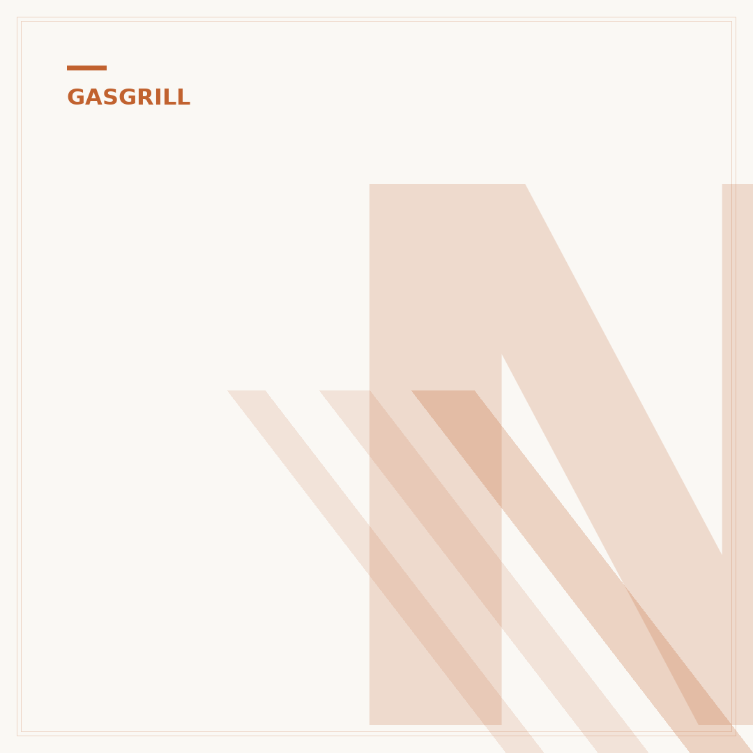 Napoleon Gasgrill Sizzle Zone: Mehr als nur Grillen