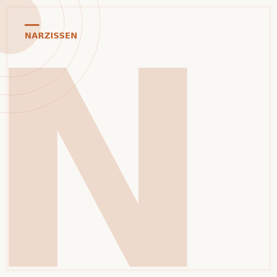 Narzissen-Zwiebeln pflanzen