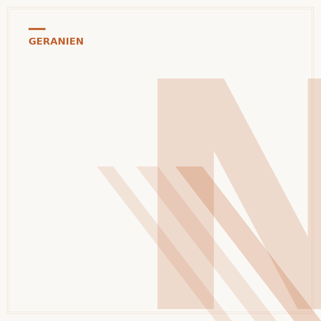 Neue Geranien-Sorten