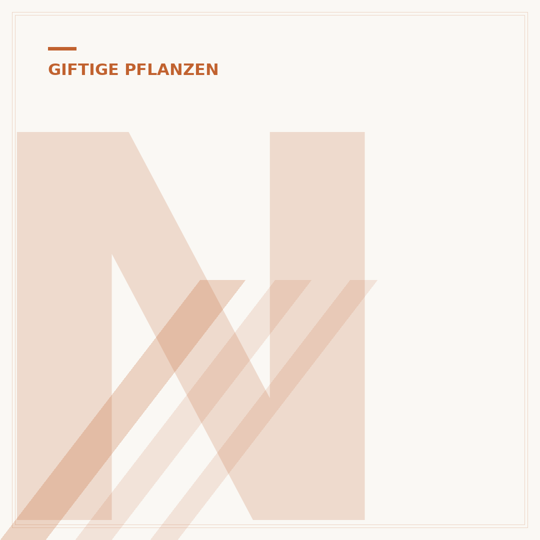 Nicht giftige Pflanzen für Katzen