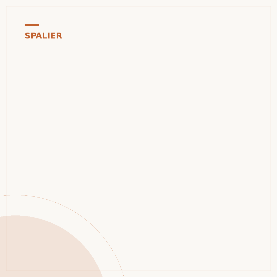 Ölweide als Spalier