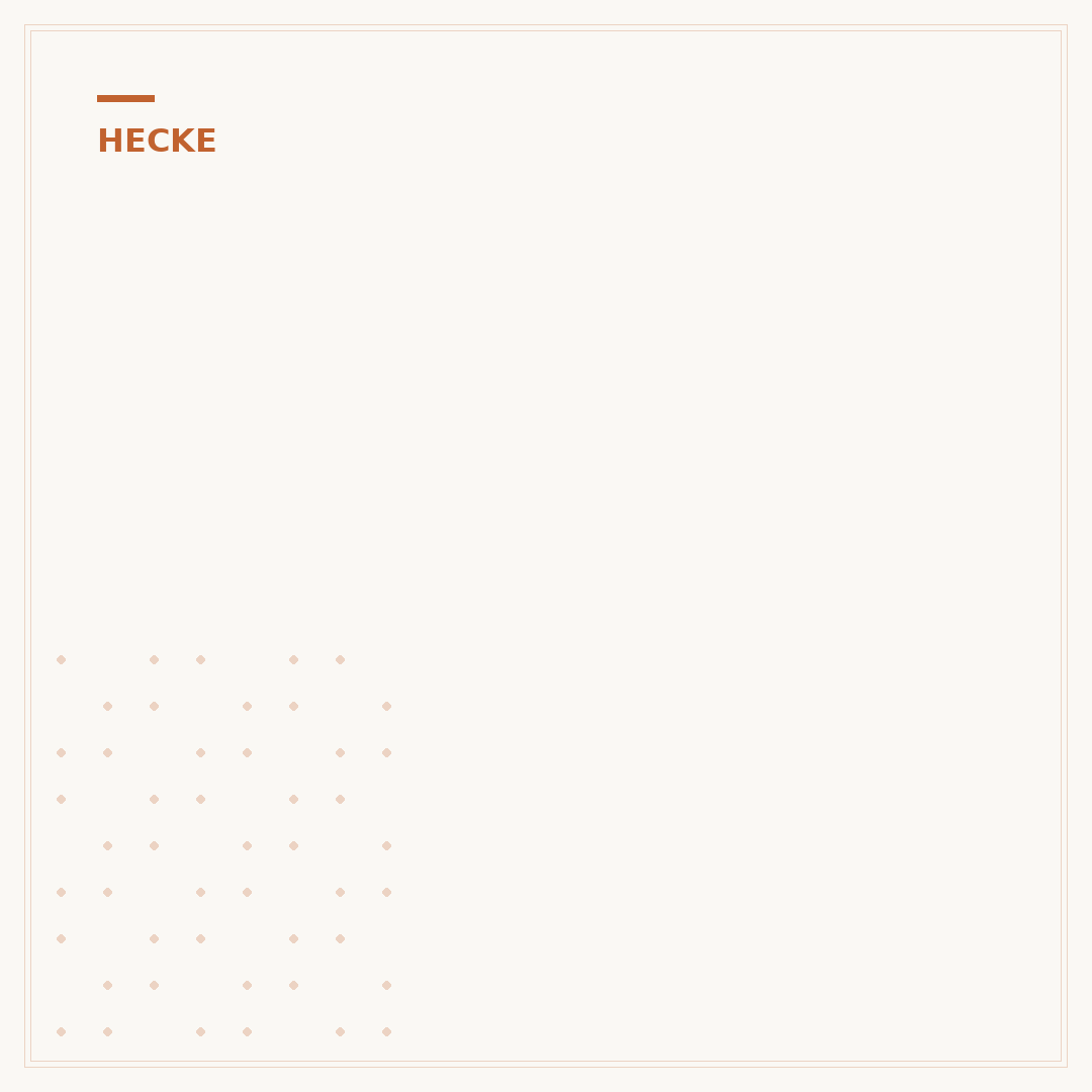 Ölweide als Hecke