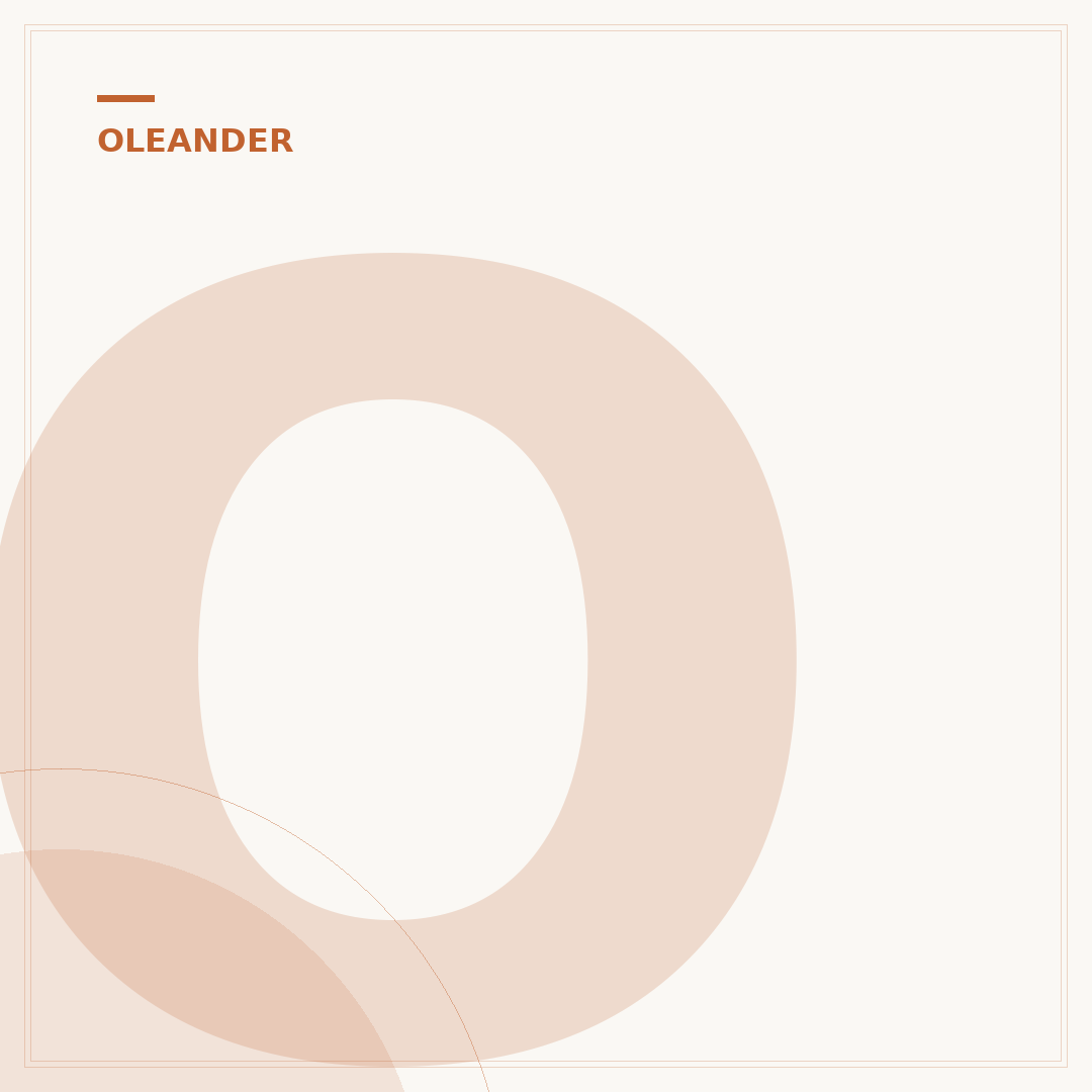 Oleander Frostschaden erkennen und richtig behandeln