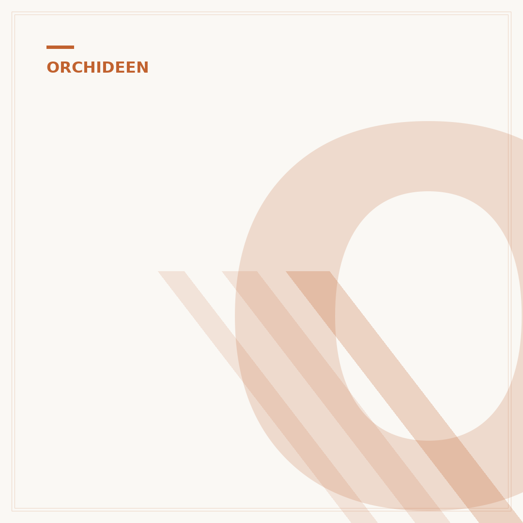Orchideen zurückschneiden: Wann und wie Sie sie kürzen