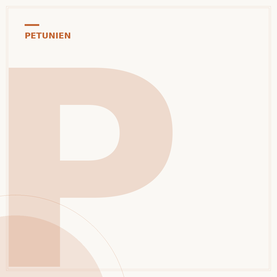 Petunien aus Samen ziehen: Ihr Garten wird blühen