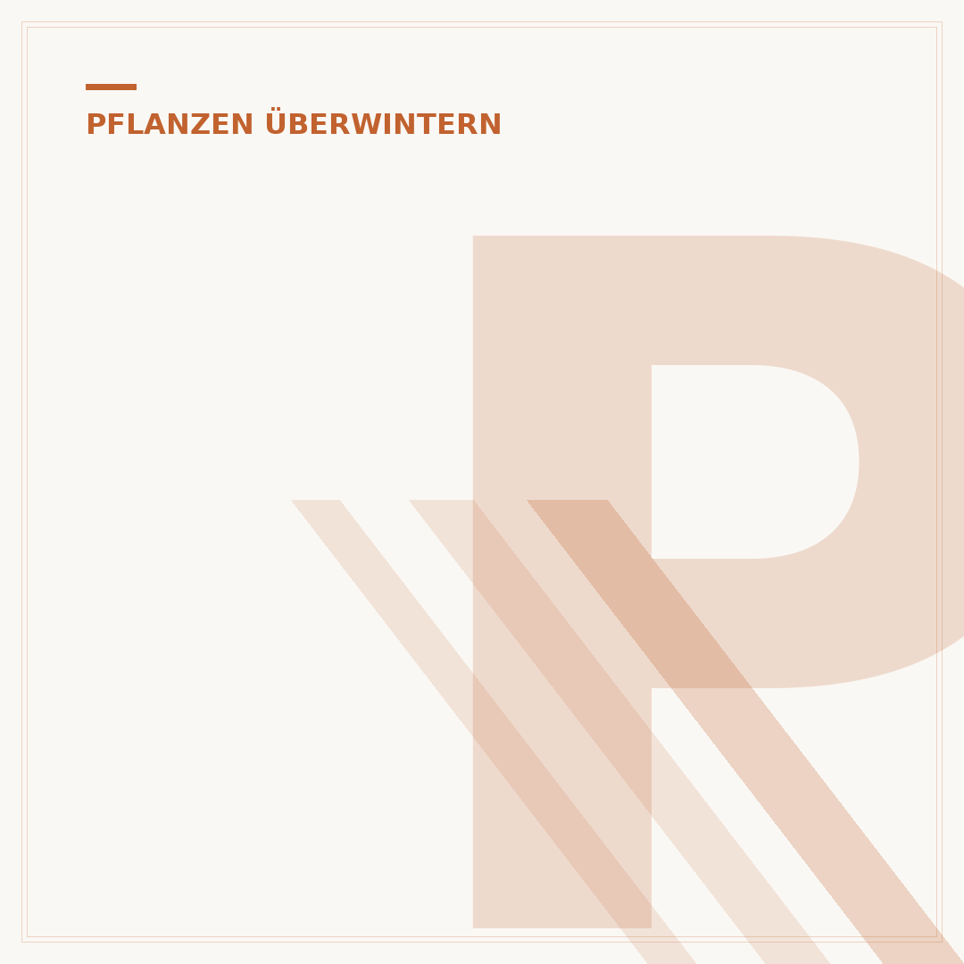 Pflanzen überwintern