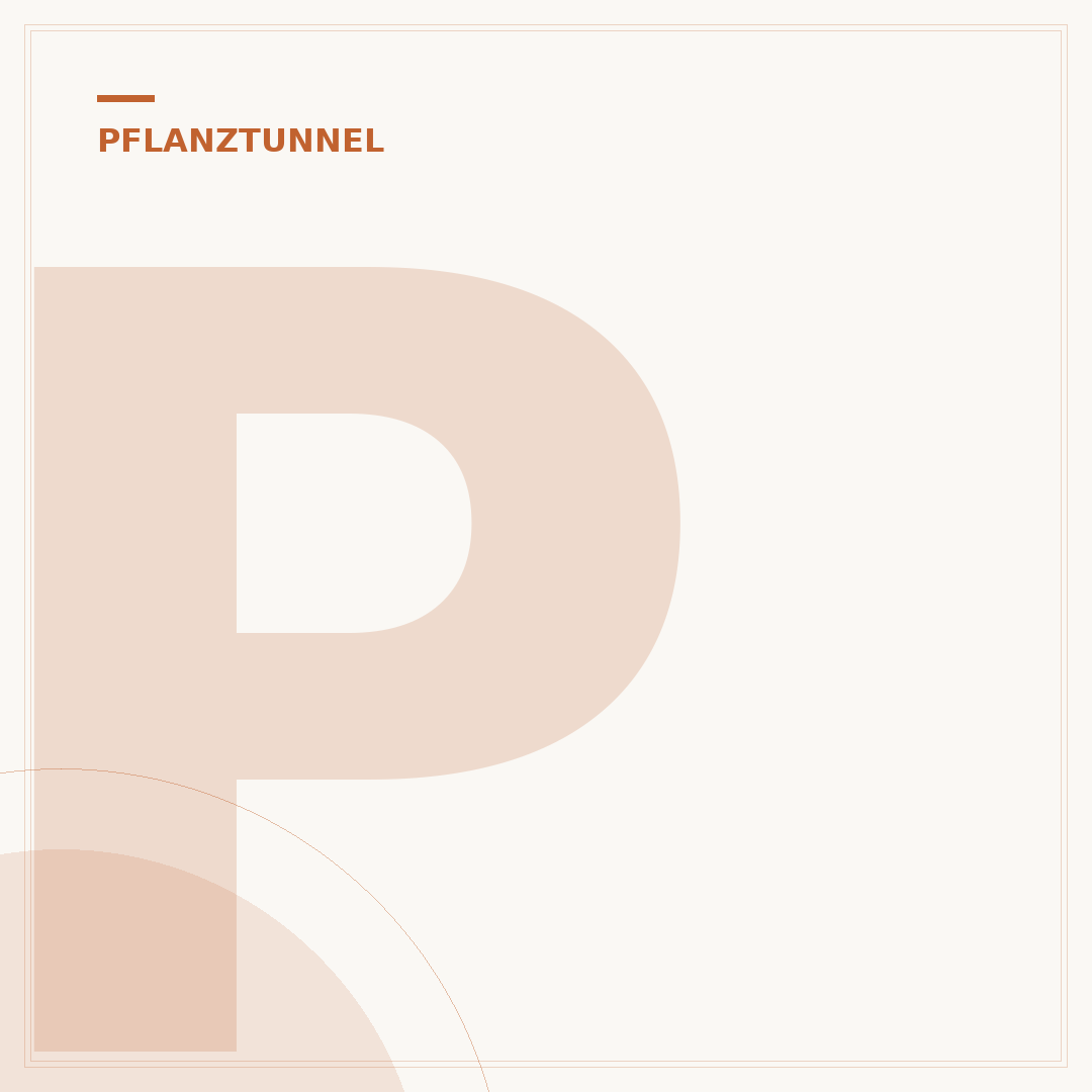 Pflanztunnel Bögen: Fehler vermeiden und richtig aufstellen