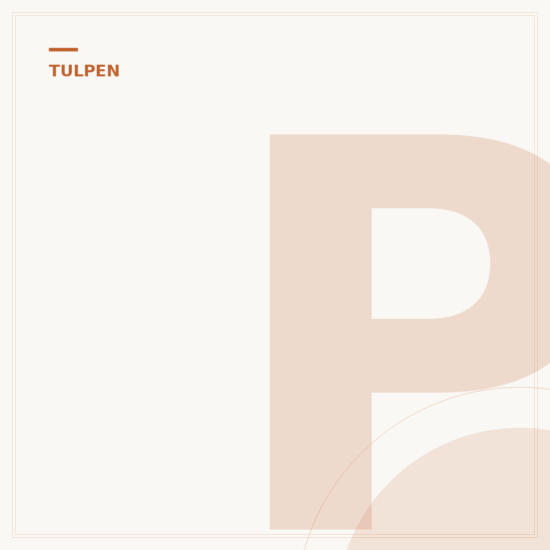 Pflanzzeit für Tulpen