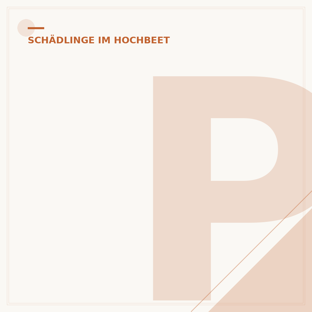 Pilze im Hochbeet: Was Sie wissen und tun sollten
