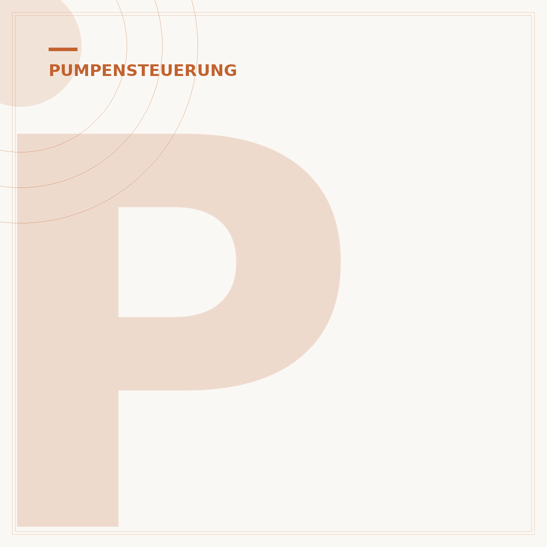 Pumpensteuerung für Tiefbrunnenpumpe: Funktionen & Auswahl