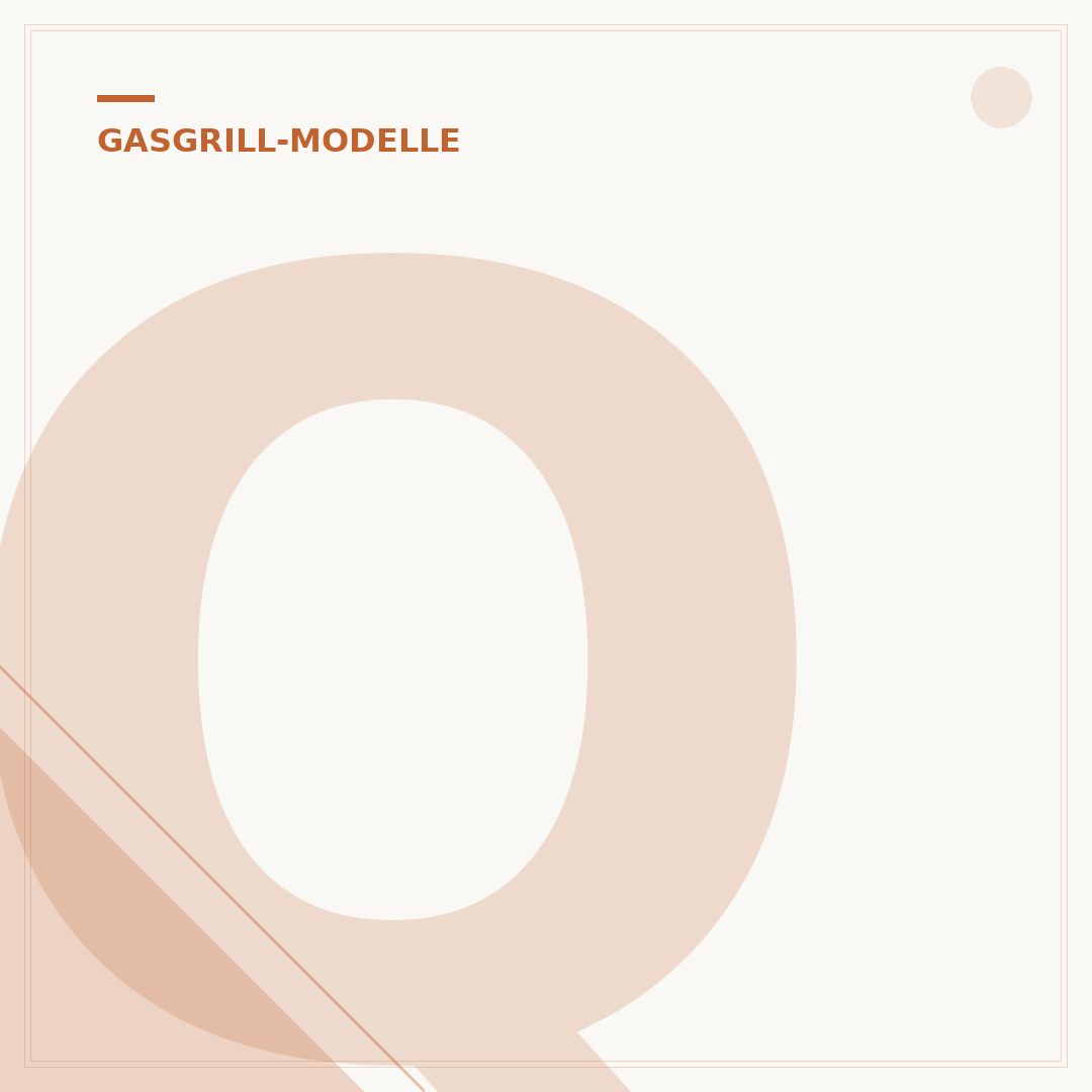 Q 1000 Gasgrill