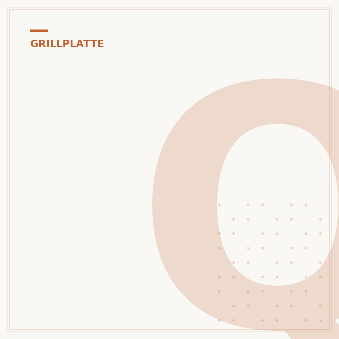 Q1200 Grillplatte: Was Sie wissen müssen