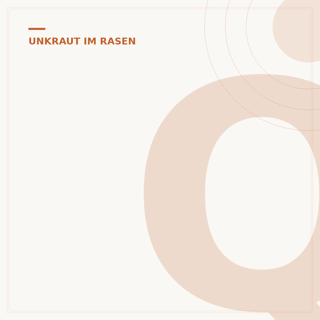 Quecke im Rasen bekämpfen