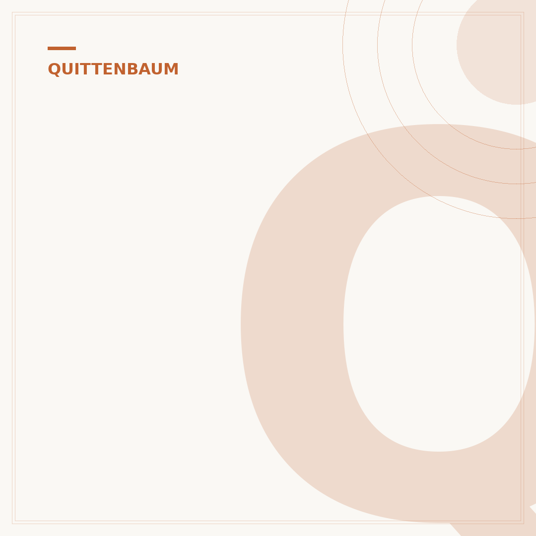 Quittenbaum pflanzen: Häufige Fehler vermeiden