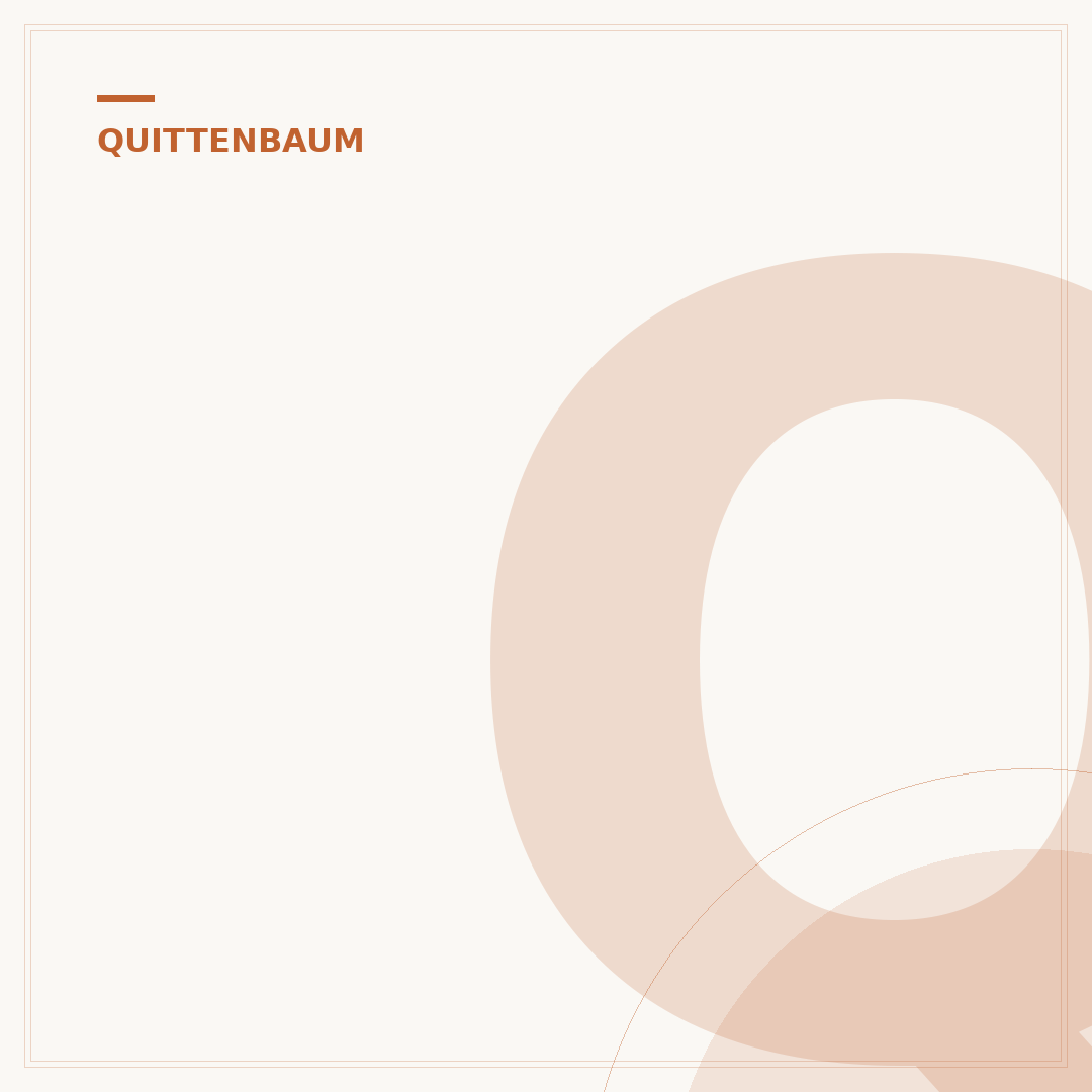 Quittenbaum: Was Sie vor dem Kauf wissen sollten