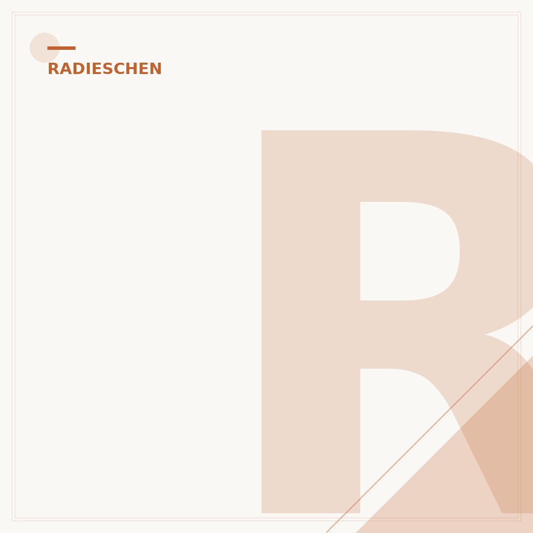 Radieschen einpflanzen