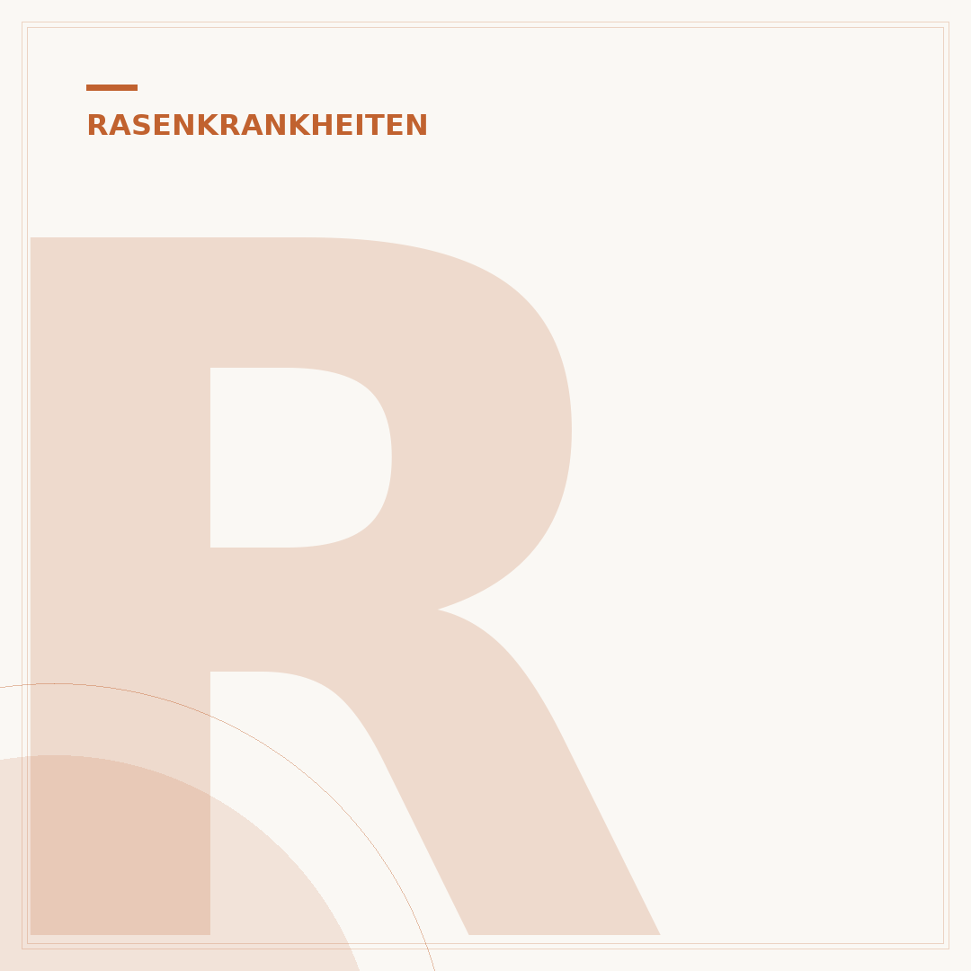 Rasenkrankheiten: Bilder und Erkennung von Pilzen & Co.