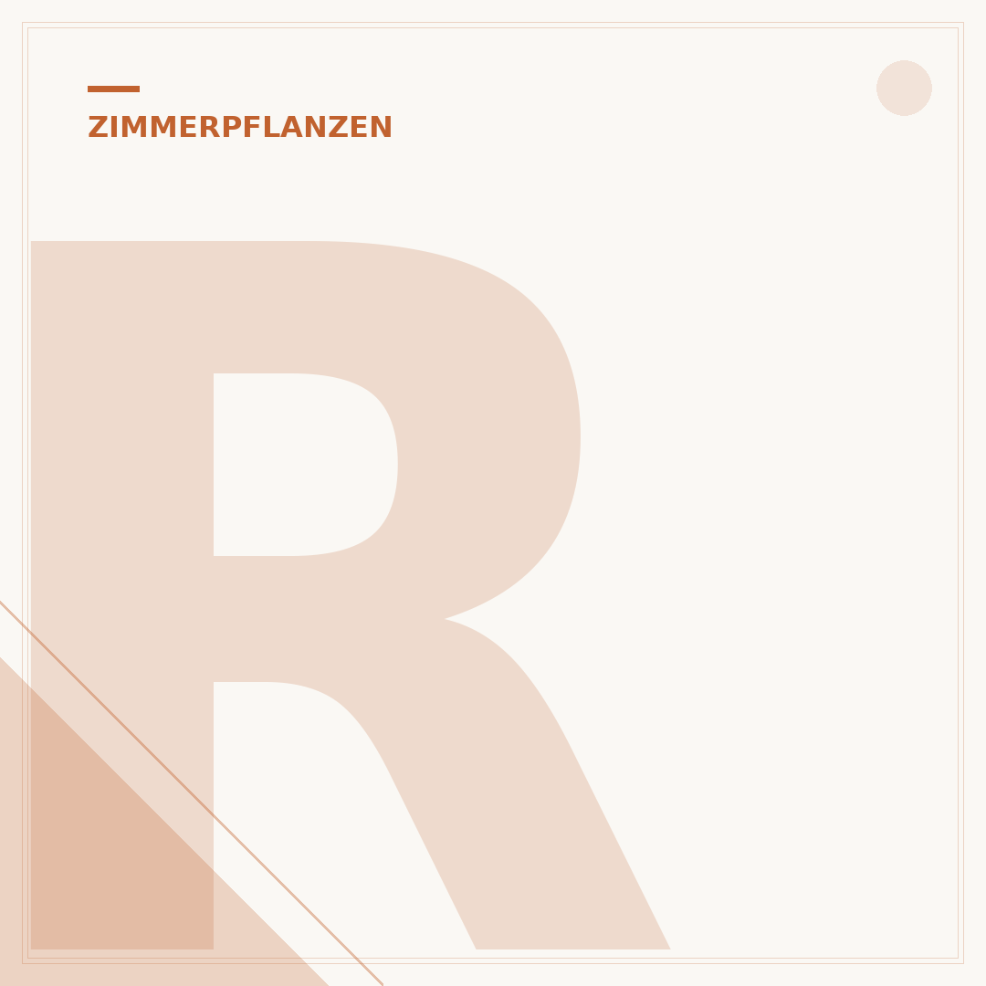 Robuste große Zimmerpflanzen