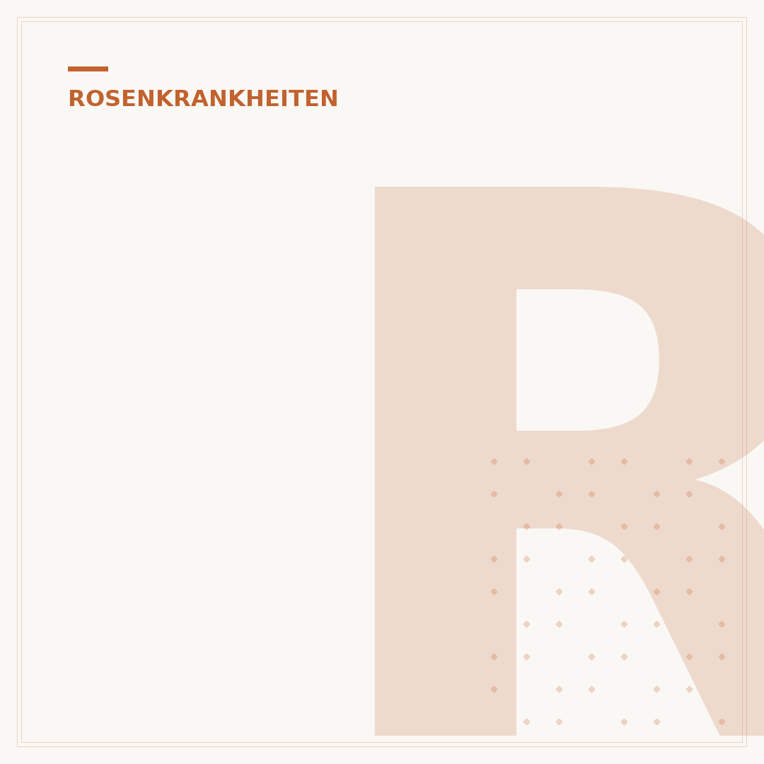 Rosen angefressene Blätter: Ursachen und Bekämpfung